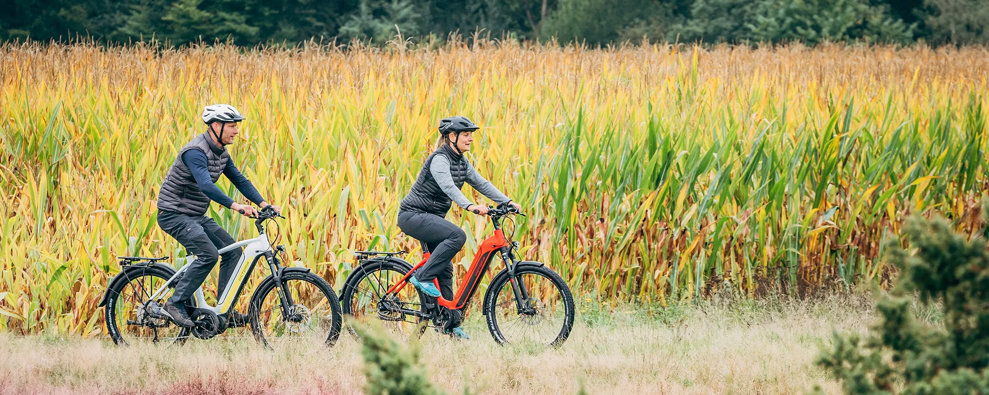 Zwei Menschen auf E-Bikes an einem Maisfeld