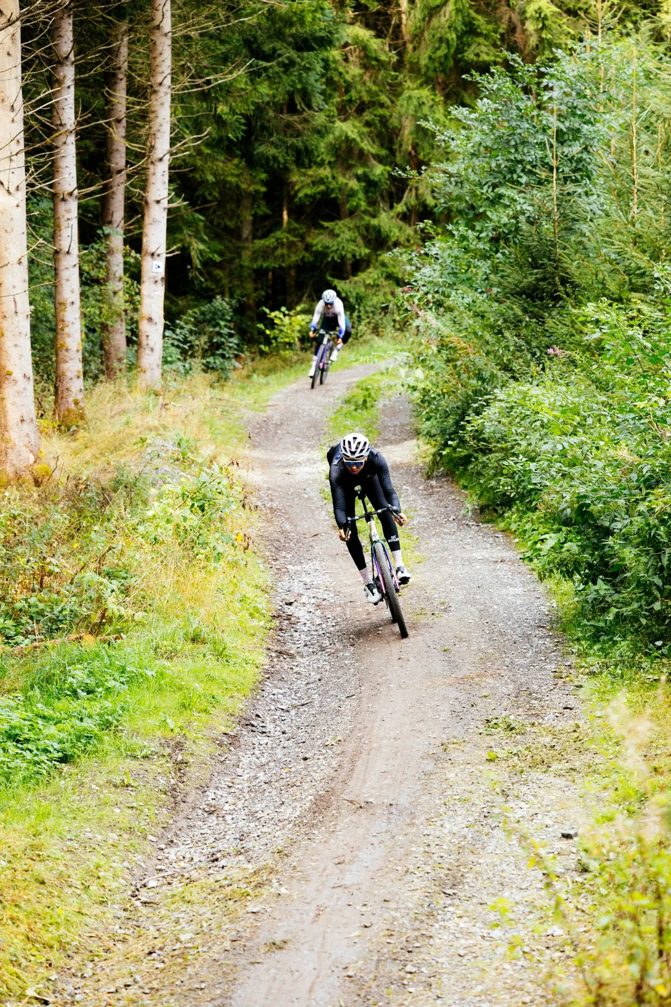Zwei Gravelbikes auf einem Schotterweg
