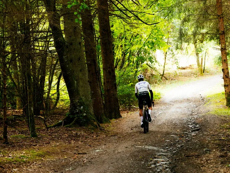 Gravelbike auf einem Waldweg