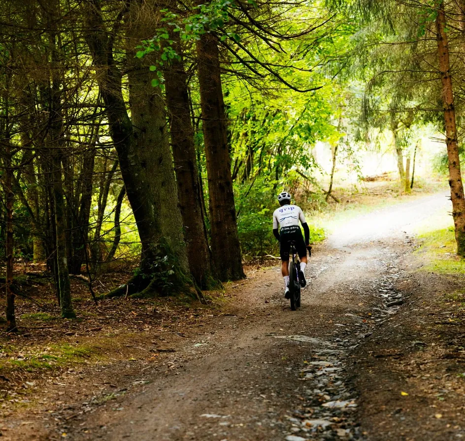 Gravelbike auf einem Waldweg bei Forchheim