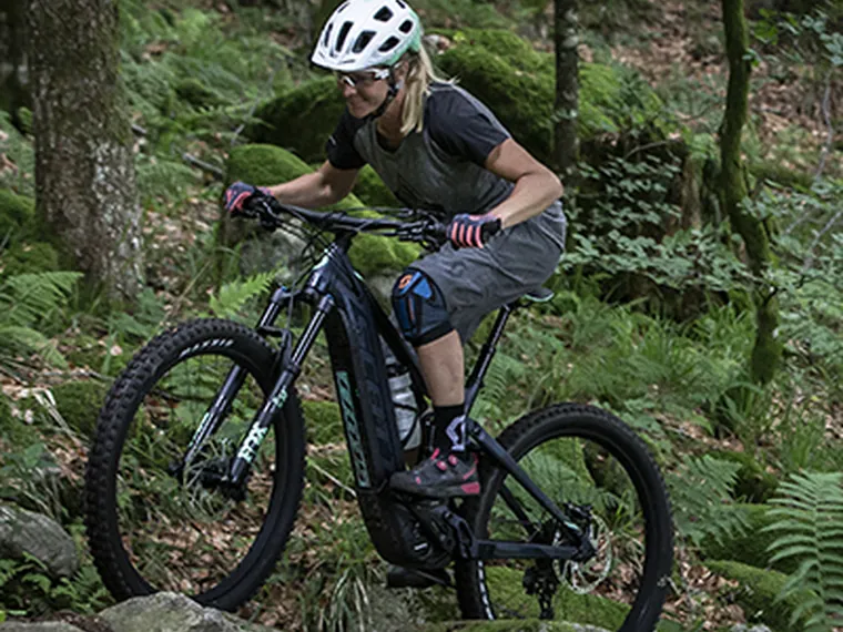 E-Mountainbike