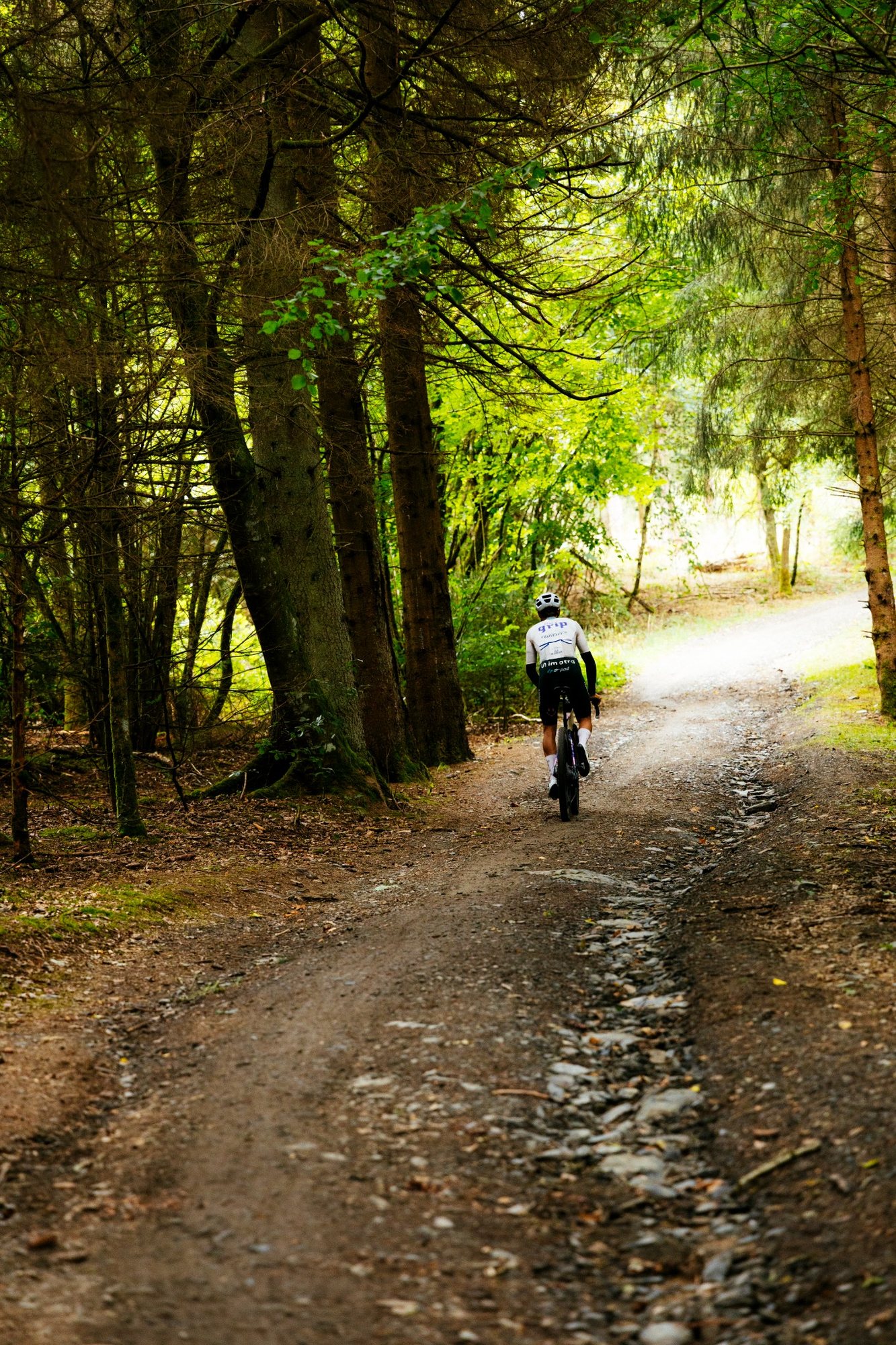 Gravelbike auf einem Schotterweg im Wald – Inspiration für Gravel-Touren rund um Forchheim